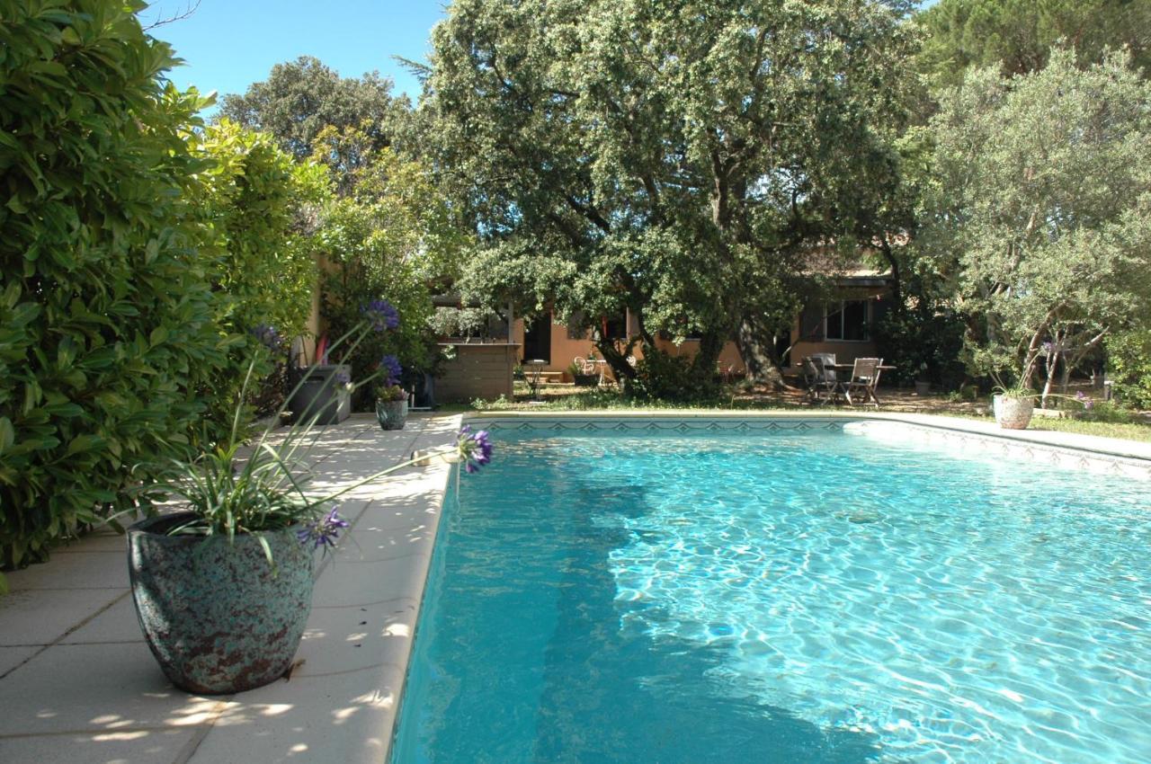 La Vigne Et L'Olivier Apartment Villeneuve-lès-Avignon Exterior photo