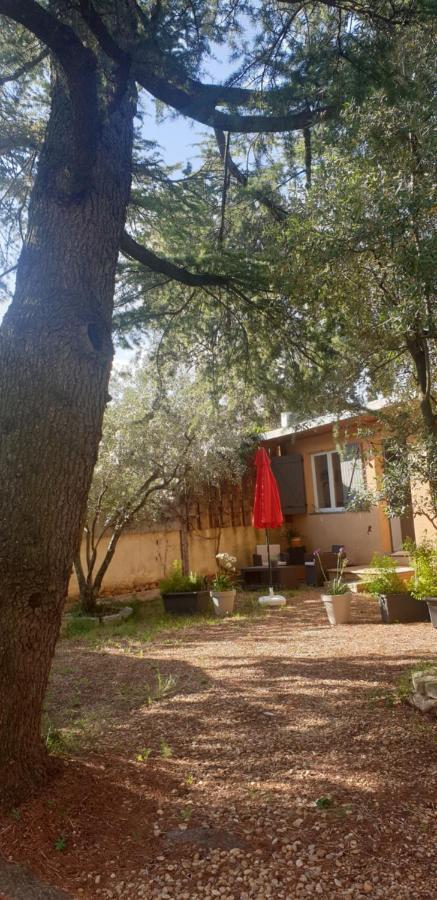 La Vigne Et L'Olivier Apartment Villeneuve-lès-Avignon Exterior photo
