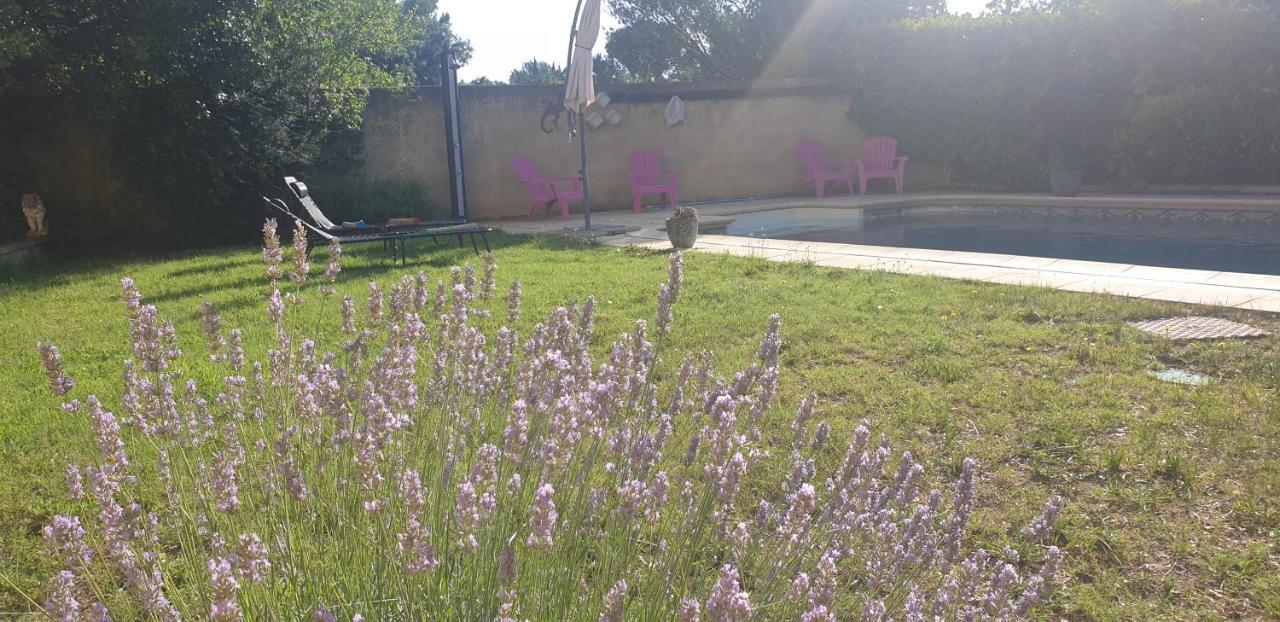 La Vigne Et L'Olivier Apartment Villeneuve-lès-Avignon Exterior photo